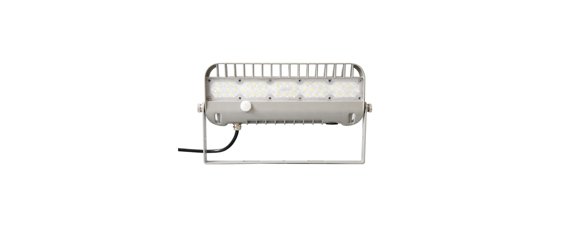 LFG1 Far-infrared sensing floodlight